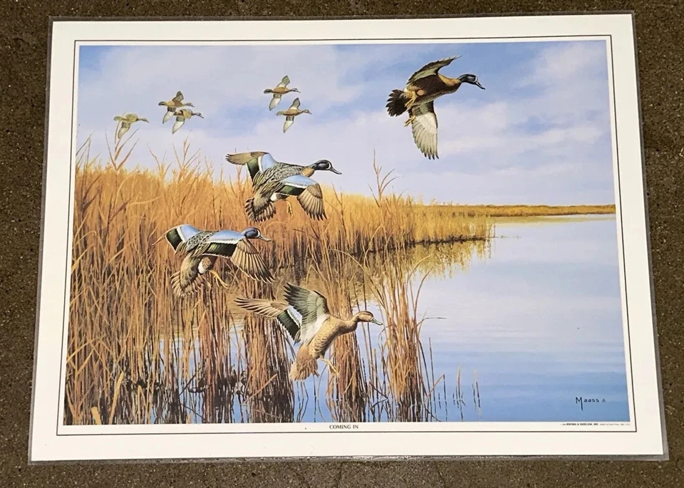 Juego de tapetes ilimitados Coming In Ducks lote x4 marrón y Bigelow doble lado Foto 2 de 4