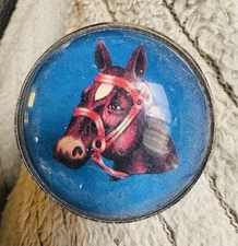Antique Horse Bridle Rosette Glass Domed Blue Left Facing Horse Head Equestrian