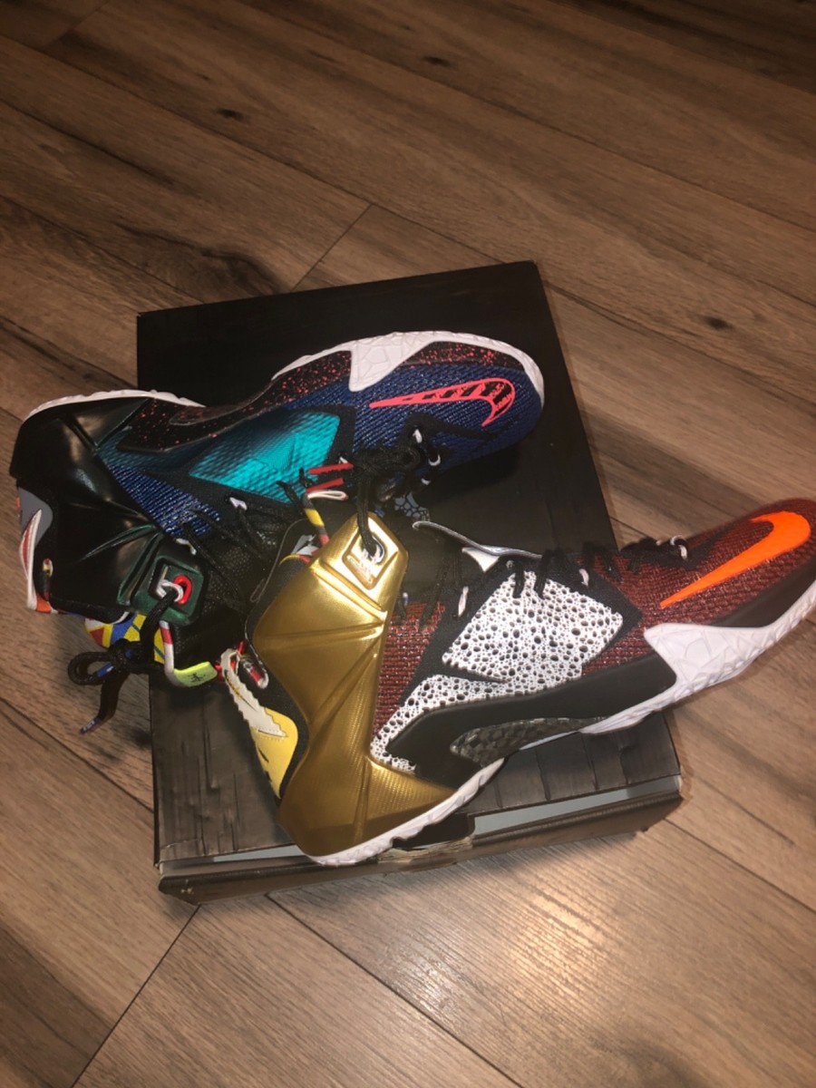 NIKE LeBron 12 SE What The! LeBron Size 12 Deadstock! Jordan