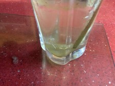 Russian comfrey  plant cutting  for skin eczema bone fractures ALREADY ROOTED