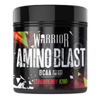 WARRIOR AMINO BLAST  (270g) - EAA BCAA Amino Acids Pre-Workout Energy Powder