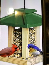 Bird Feeders for Outside Clearance - Hanging Birdfeeder for Outdoors Open Box