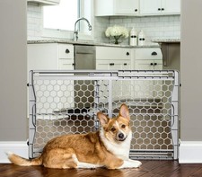 Carlson 28"-42" Easy Fit Dog Gate, Expandable Plastic Pet Gate, Pressure Moun...