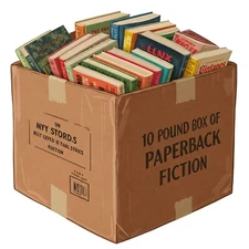 10 LB Mystery Box of Paperback Fiction / Wholesale - Instant Collection / Random