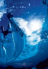 Collin Harrington Wakeboard Poster w/Free Parks Poster