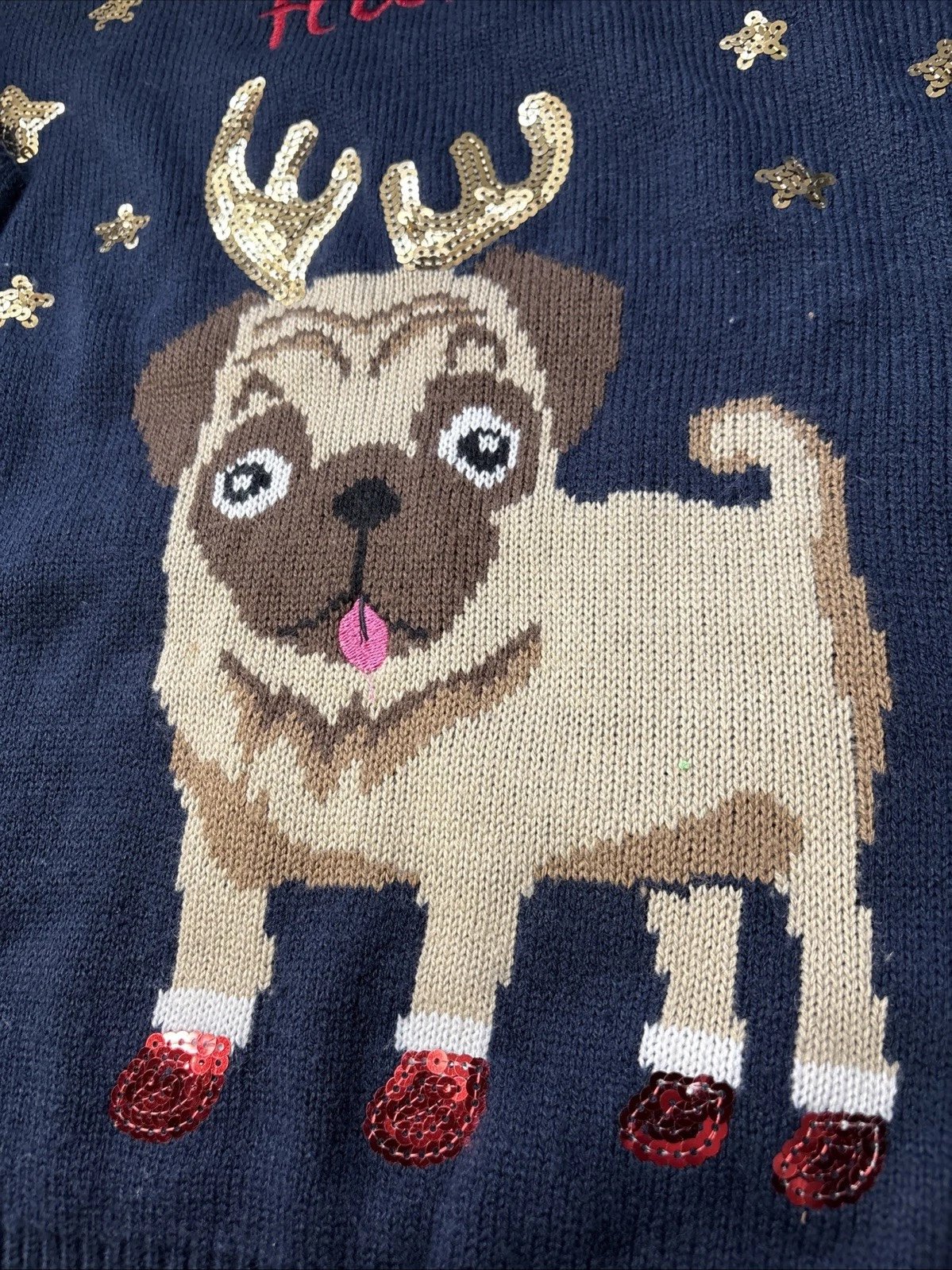 Pug Ugly Christmas Sweater Charlotte Russ Almost Famous Size Large Blue