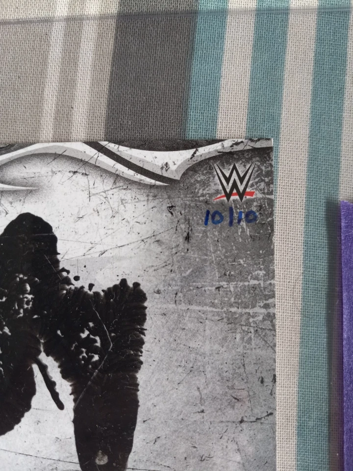 2015 Topps WWE Undisputed Fistograph Bruno Sammartino 10/10 - Image 3 of 3