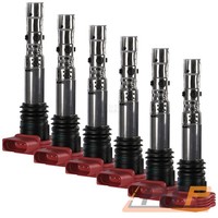 6X ZÜNdspule StabzÜNdspule FÜR Audi A4 8E B6 B7 A6 4B C5 4F C6 A8 4E 3.0 BBJ ASN