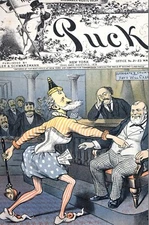 Roscoe Conkling as COURT JESTER CLOWN 1884 HOYT WILL CASE JUDGES Puck Cover