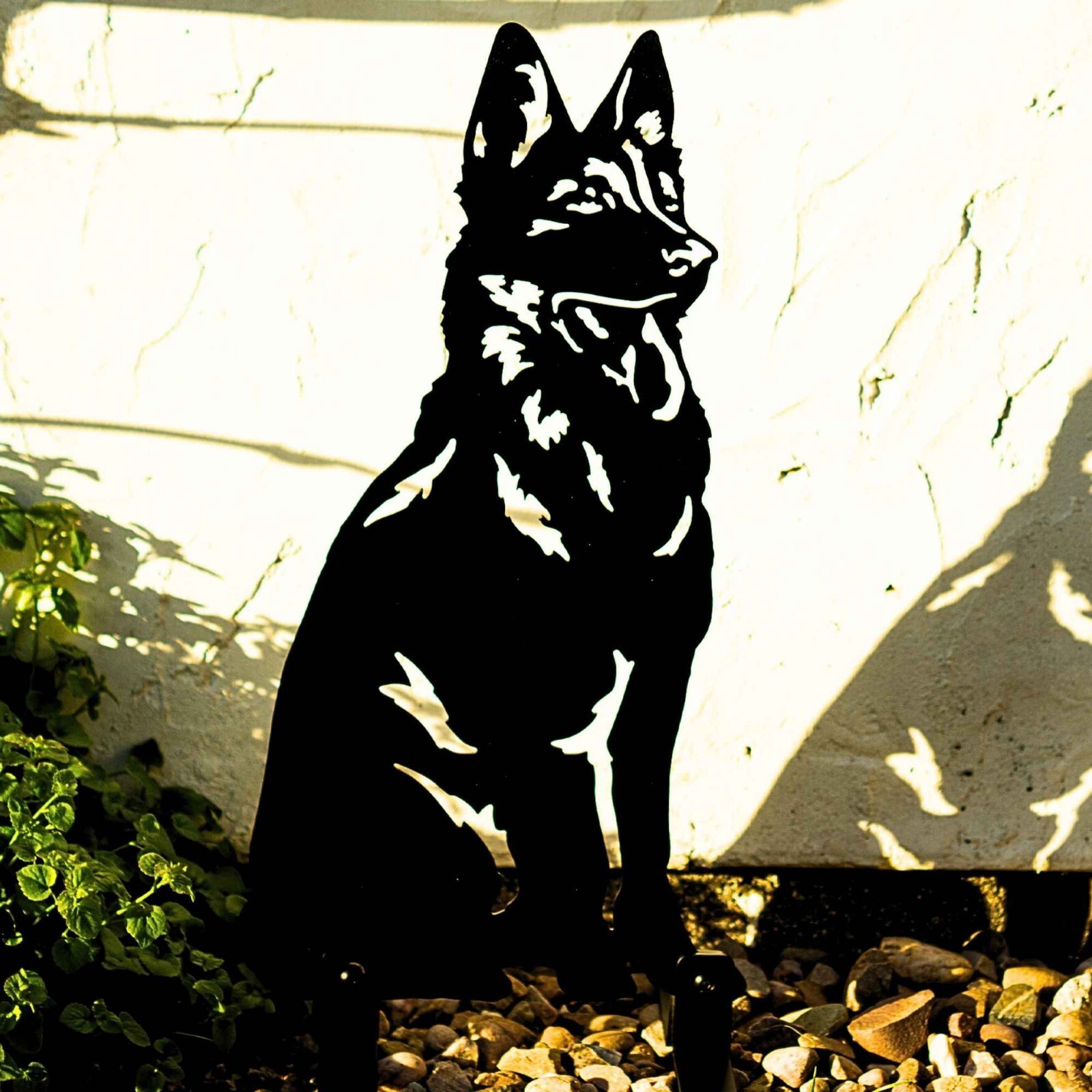 Picture 47 of 128