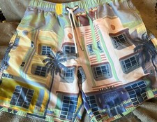 Franks Men  s South Beach Mesh Lined Beach Swim Board Trunks Shorts Size LG NWOT