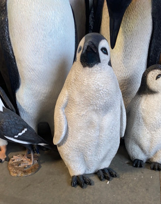 Young Penguin Bird Life Size Resin Statue Animal Prop Display Arctic Theme Decor