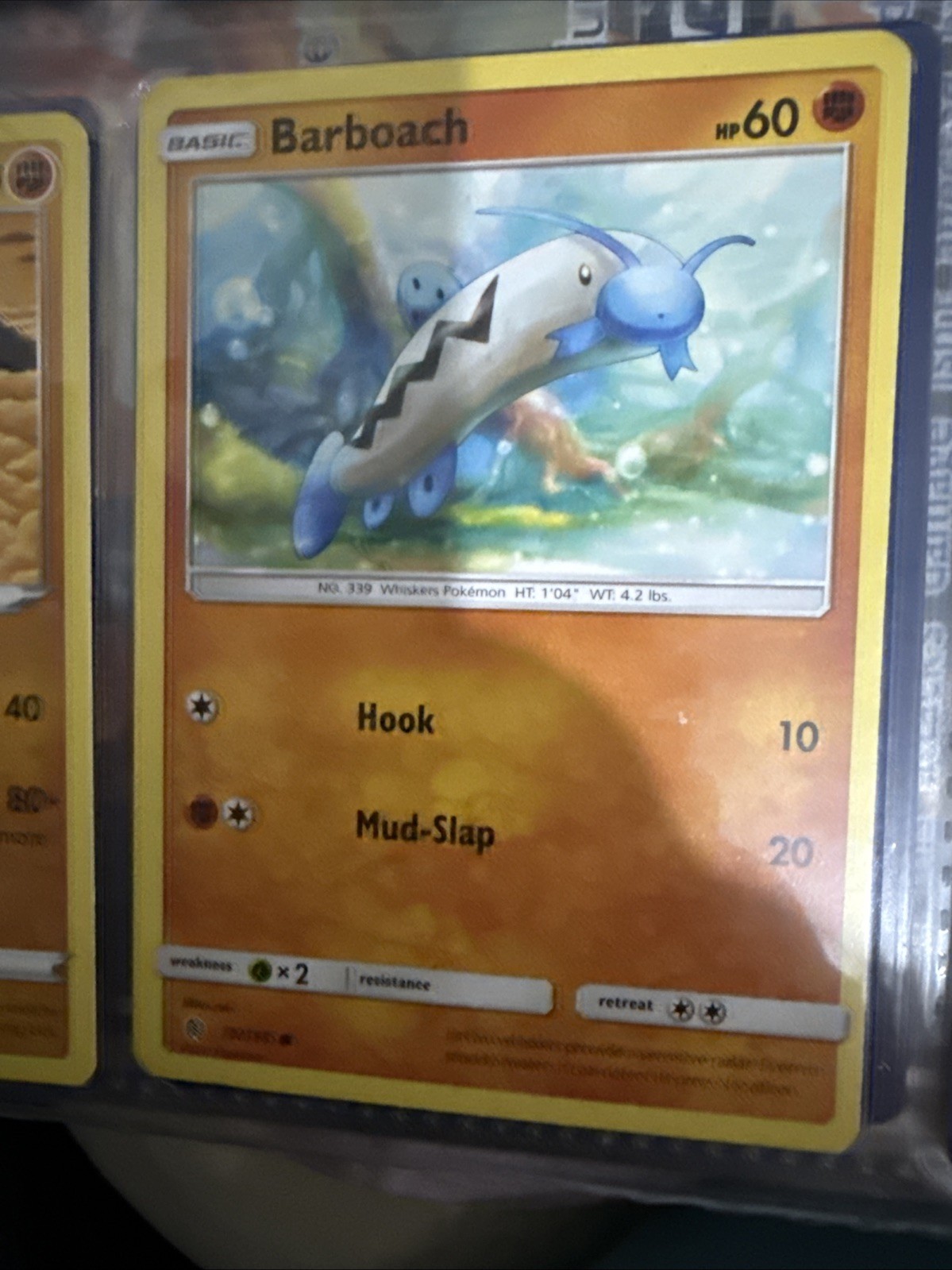 Barboach 70/145 Sm-Guardians Rising Regular