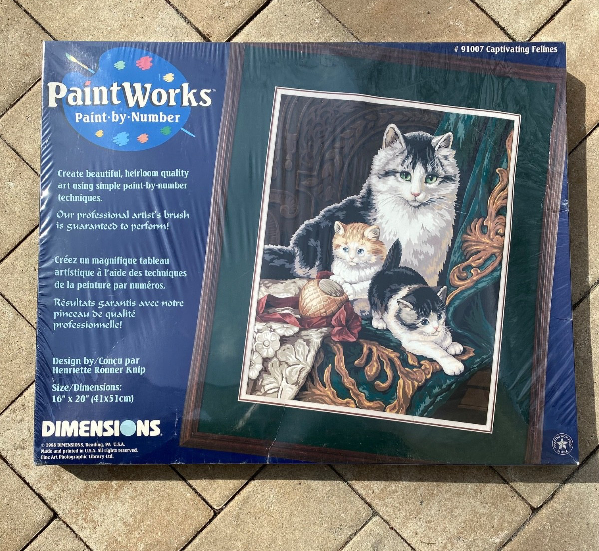 NIB DIMENSIONS PAINTWORKS PAINT BY NUMBER Kit Captivating Fe