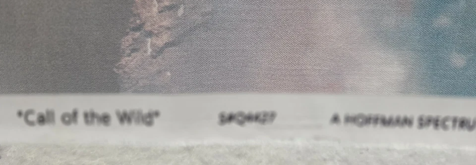 Panel de edredón de algodón Hoffman Call Of The Wild Mountsin Buffalo/Bisonte 31" x 43" Foto 3 de 4