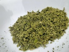 Mullein Leaf Garden Grown Pesticide Free Perm...