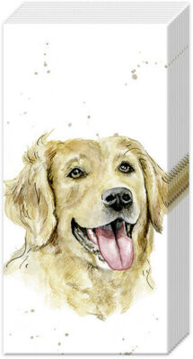 FARMFRIENDS Hunde Papiertasche Neuheit Taschentücher 21 cm sq 4-lagig - 2 Packungen