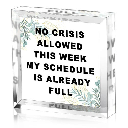 Boss Gifts for Women Coworker Manager - Funny Office Desk Decor Boss Lady Gif... - Picture 1 of 6