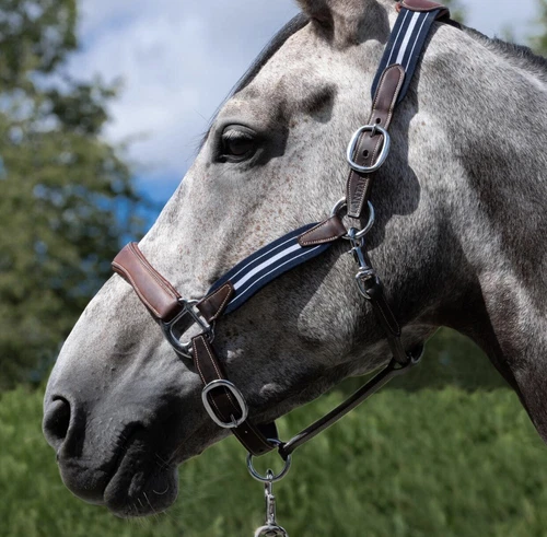Antares Elastic Stressless Halter Horse Size 1 cob