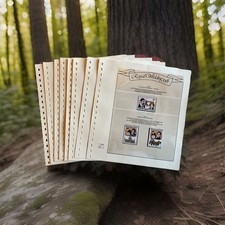 Lot ROYAL WEDDING 1981 31 stamps / 6 Blöcke in clear hingeless Pages