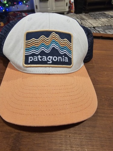 Patagonia Patch Hat Cap Snapback Trucker (=)