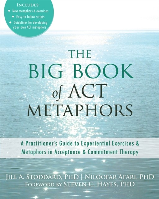 Big Book of ACT Metaphors: A Practitioner's Guide to Experiential Exercises and - Image 6