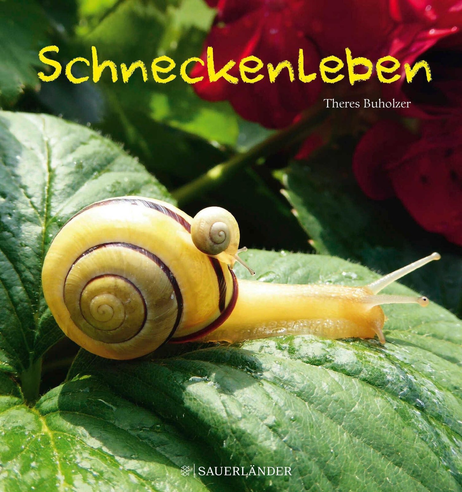 Thumbnail - Schneckenleben | Theres Buholzer | Buch | 48 S. | Deutsch | 2019