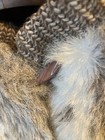 Picture 4 of 6