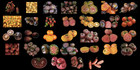 HEIRLOOM TOMATO SEED 32 Rare Award Winning Heirloom Seed For Best Flavour