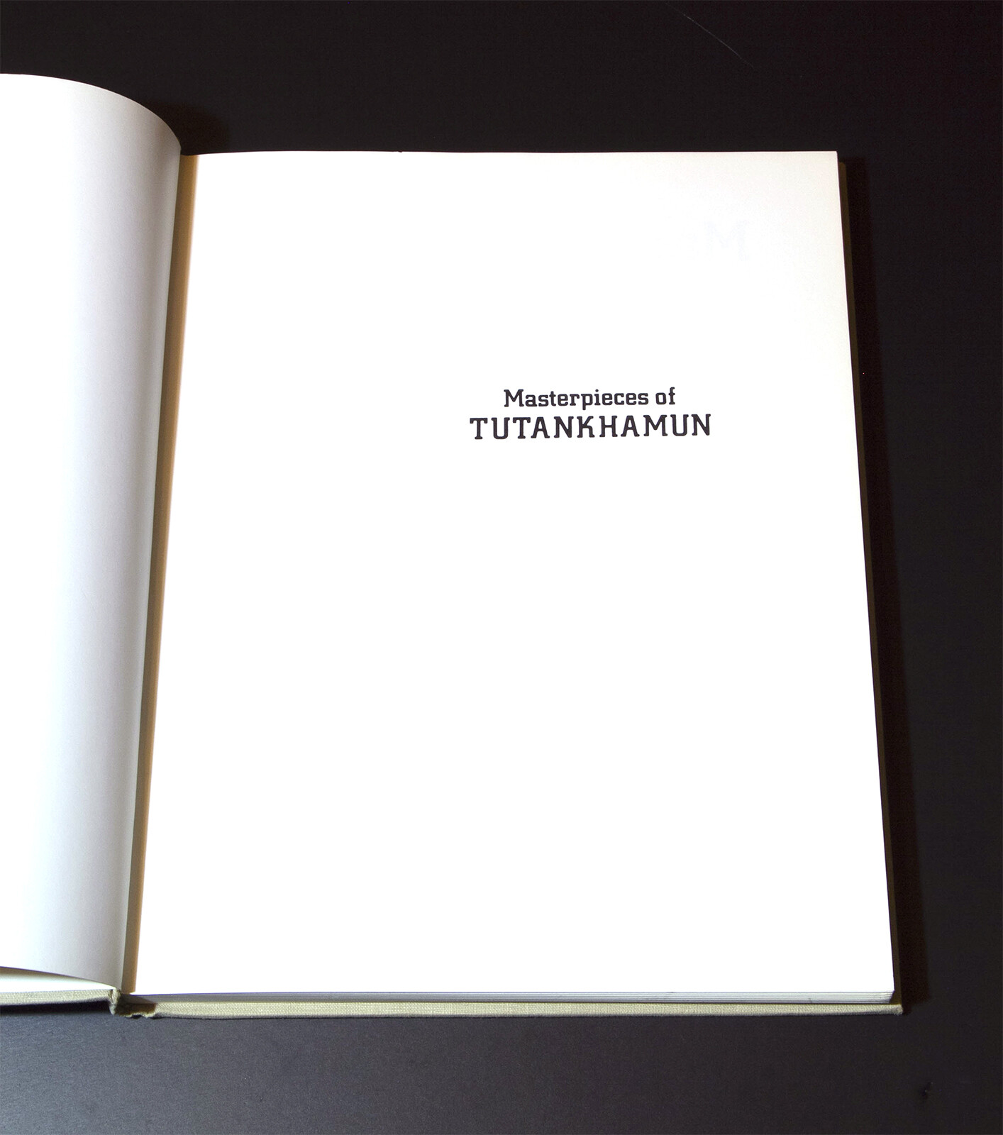 Masterpieces of Tutankhamun