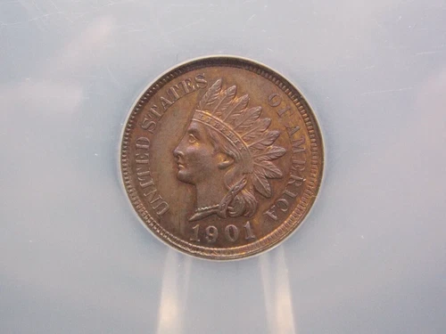 1901 Indian Head Cent Penny 1c NGC UNC Detail #001 East Coast Coin & Collectable