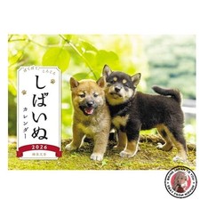 NEW Shiba Inu Calendar 2026 Desk Calendar 