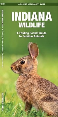 Indiana Wildlife : An Introduction to Familiar Species, Paperback by Kavanagh...