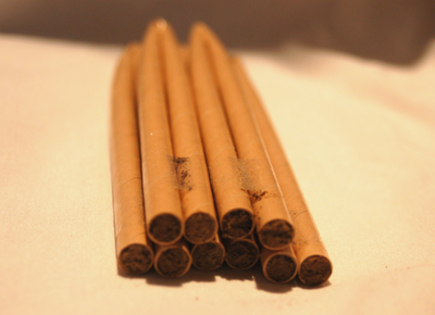 #ad #ad Orchard Mason Bee Cocoons 5 Twelve Inch Tubes 50 60 Bees Ready to Pollinate $32.50