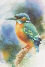 Colorful Birds 1 Card 1 Envelope Blank Greeting Card