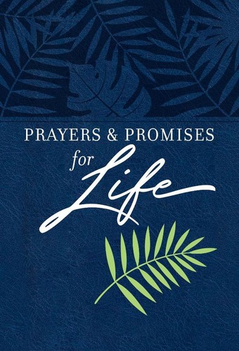 2 Prayers & Promises for Life + Prayers & Promises for Depression and Anxiety - 第 4/4 張圖片