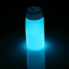 SuperLuminova BGW9 Grade A + 3g(A60+A61)+ bowl + oil pin Luminous powder