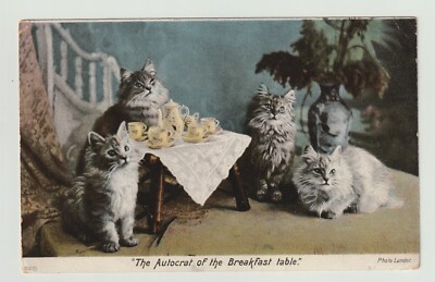 Postkarte Landor Katzen 1905, Der Autokrat vom Frühstückstisch