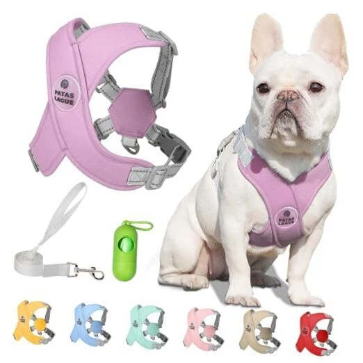 Dog Harness with Leash Set M (Neck 19.3-23.3'' Chest 22.5-25.6'') Purple