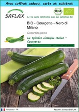 SAFLAX Kit cadeau - BIO - Courgette - Nero di Milano - 6 graines - Cucurbita