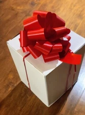 Beautiful Large Red Holiday Pull Bows - 5.5" Wide Gift Bows Christmas Multi Pack