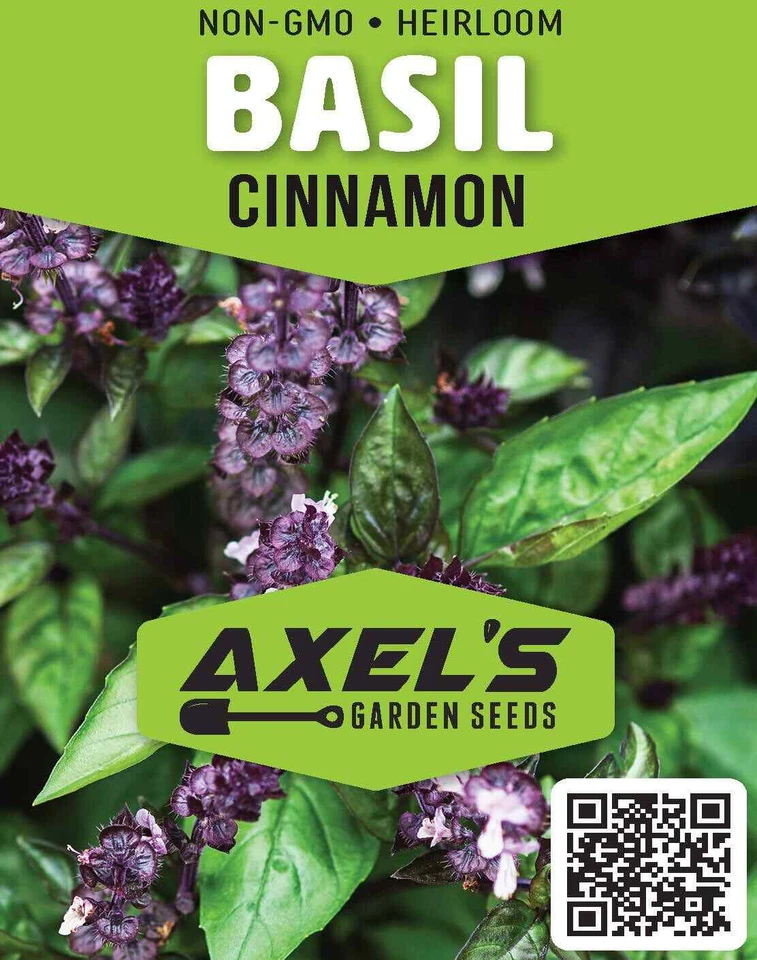 Cinnamon Basil Seeds | Heirloom | Non-GMO | Fresh Herb Seeds - Image 2 of 3