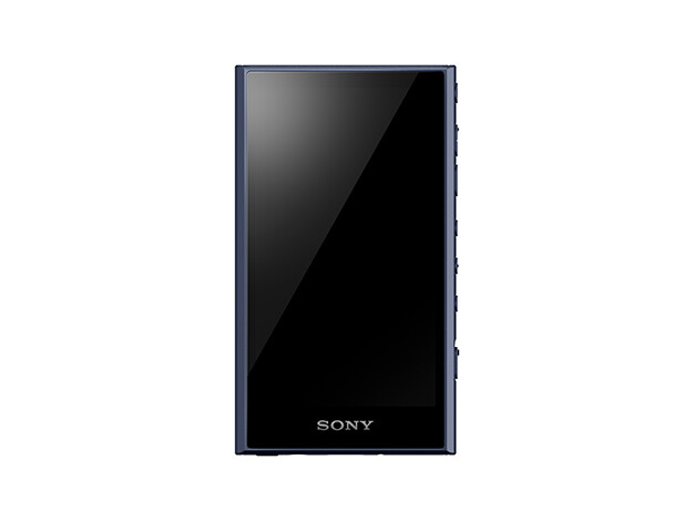 Sony Walkman NW-A307 Hi-Res 64Go – Lecteur Audio A300 Series – Gris (anglais)