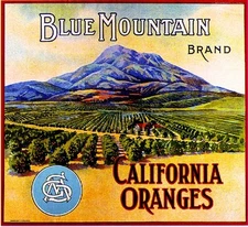 Highgrove Blue Mountain #3 Sugar Loaf Orange Citrus Fruit Crate Label Art Print