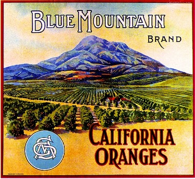 Highgrove Blue Mountain #3 Sugar Loaf Orange Citrus Fruit Crate Label Art Print