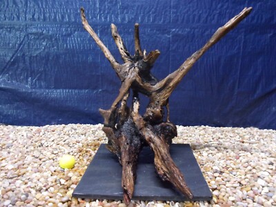 XX-Large Driftwood Mounted on Slate 18''x20''x17'' Aquarium Reptile Natural Art