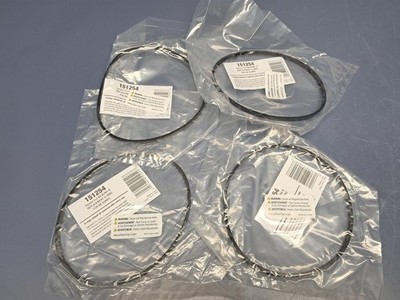 Lot of 4 Pentek 151254 WBC-OR Square-Cut Buna-N O-Ring for Big Clear Housings