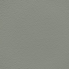 Lexus Sage Leather Dye