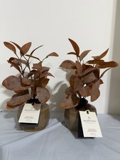 11 Inch Artificial Eucalyptus Arrangement 2 Pack - Hearth And Hand