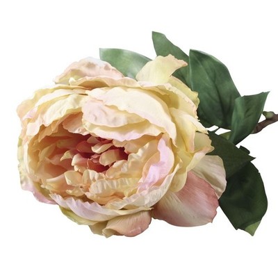 1 Stück künstliche Pfingstrose 71 cm einzelne Pfingstrose Creme Rouge